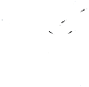 acteoside.gif