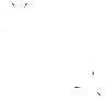 acanthoside D.gif